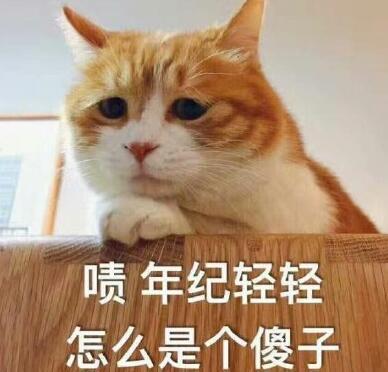"套路你家臭宝的憨憨表情包"