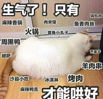 "套路你家臭宝的憨憨表情包"