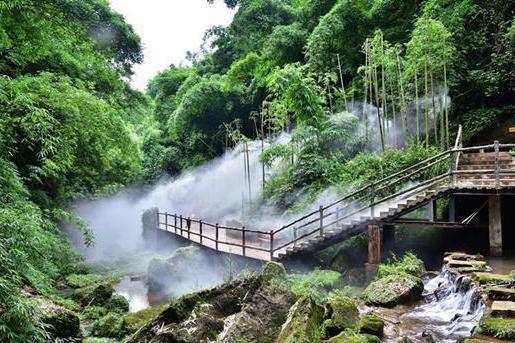 四川有个冷门竹海景区,景色完全不输蜀南竹海,却少有外地游客