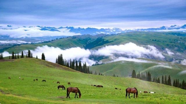 澳洲游客拍下新疆"草原"照片,引发热议:这简直是大自然的馈赠