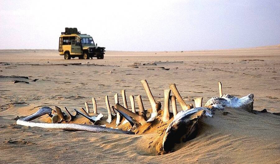 世界上最荒凉的地方,纳米比亚的骷髅海岸!