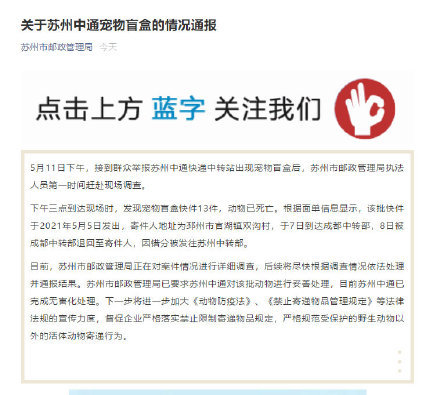 关于苏州中通宠物盲盒的情况通报