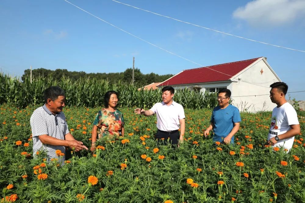 植根攻坚热土 奉献扶贫真情—记长岭县大兴镇永胜村驻村第一书记