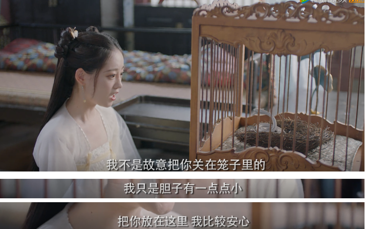 《遇龙》首播:流萤用笼子装蛇,被吐槽剧情毫无逻辑