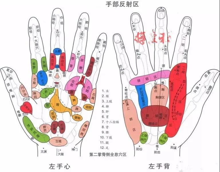 通过手掌能看出身体的健康状况,全面的手诊知识都总结