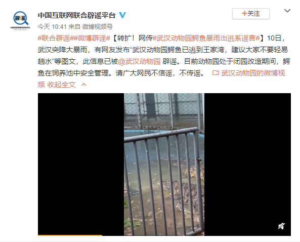 网传武汉动物园鳄鱼暴雨出逃系谣言|武汉动物园|鳄鱼|武汉|动物园