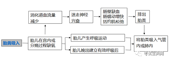 新生儿与新生儿疾病新生儿胎粪吸入综合征