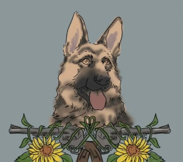 重庆德牧犬壮壮走了,很悲烈!我们能为它讨回公道吗?