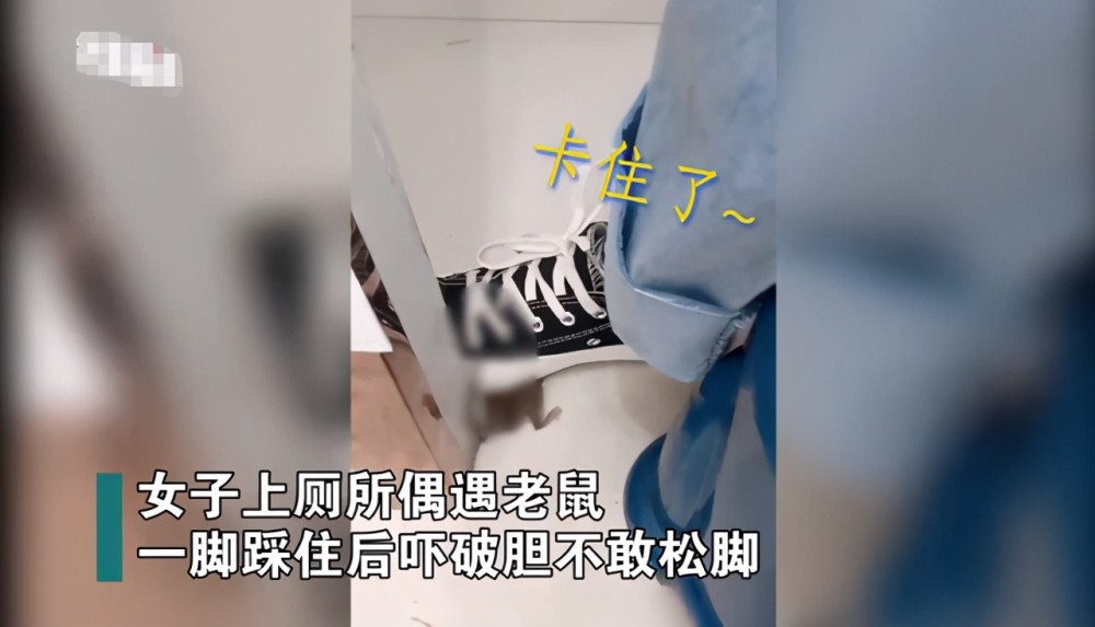 浙江一女子上厕所遇老鼠,脚踩住后大叫"救命"网友:它只是路过