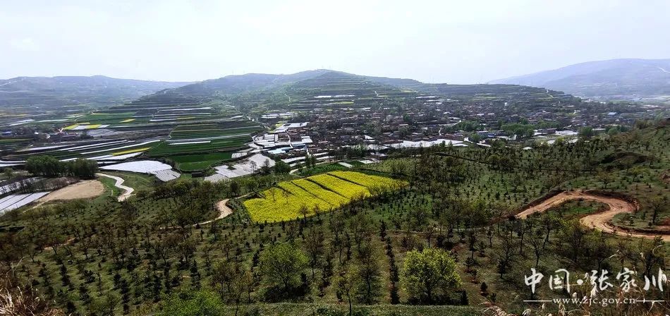 龙山镇西梁子张家川县的旅游名片