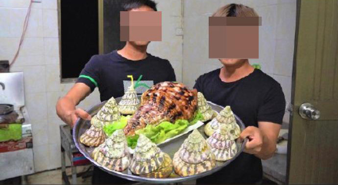 警方接到举报,美食博主"阿壮锅本人"录制食用国家二级保护动物法螺的