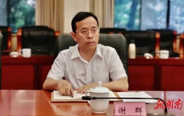 谢群任岳阳市委常委,市委组织部部长