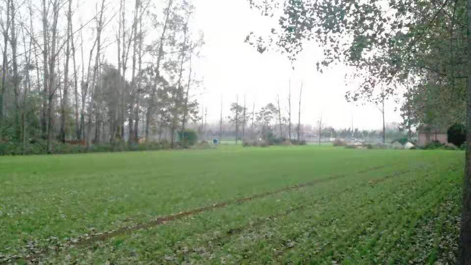 夏邑乡村记忆业庙乡郭庙村