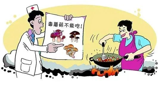 预防毒蘑菇中毒