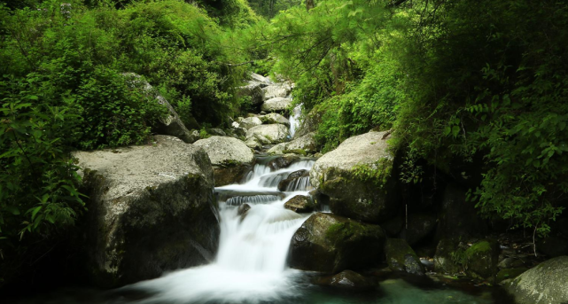 "无苍山,不大理":大理苍山清碧溪,绝美的避暑胜地