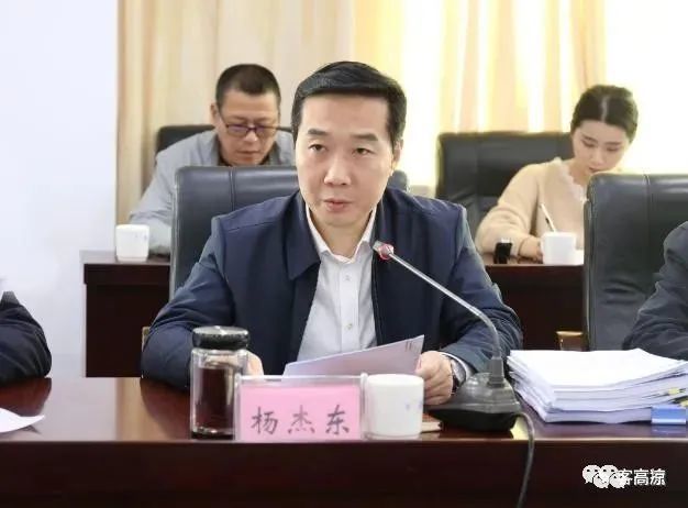 新的政府秘书长|曾是省委空降|广东|湛江|广东省委党校|杨杰东|秘书长