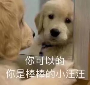 沙雕表情包|而我确是唯唯诺诺
