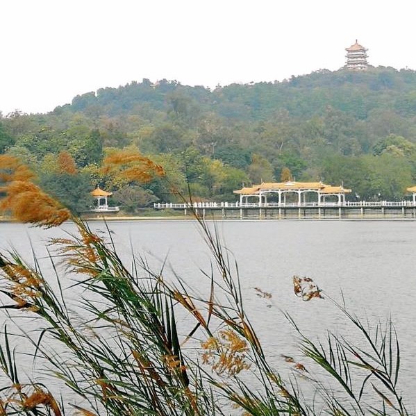 广州麓湖公园位于白云山风景区南麓,登高可眺望市区全景