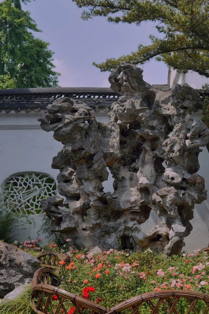 图片游园|狮子林