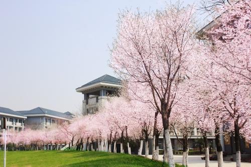 江苏省师范院校:南京晓庄学院