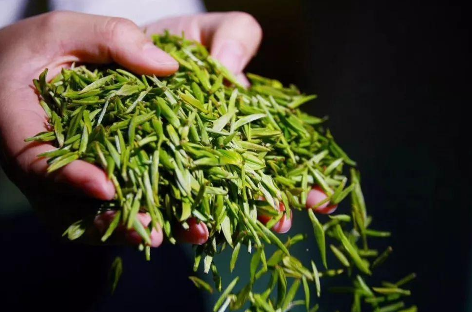 南京雨花茶的前生今世:为何创制不足一年,就能成为十大名茶?_腾讯新闻