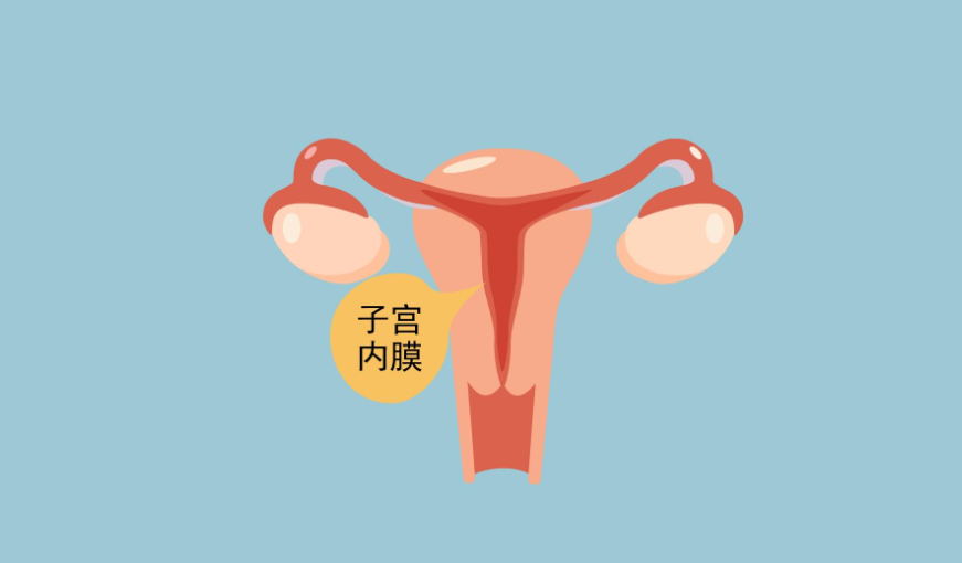 在我们的肚子上可能会出现两种特殊的纹路,一种是过度肥胖,经过减肥