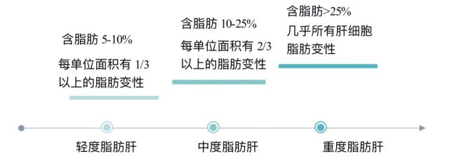 我国非酒精性脂肪肝的发病率超过了25%,也就是说: 每4个人就会有一个