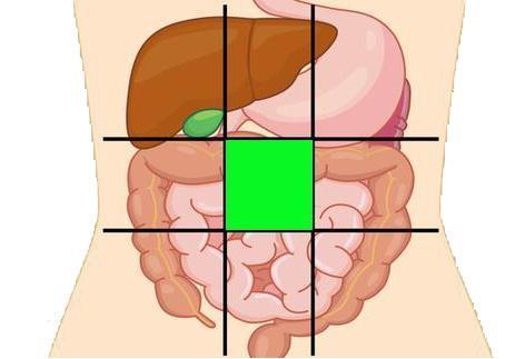 给你一张腹部地图,教你判断腹部疼痛的对应器官,或能终身受益!