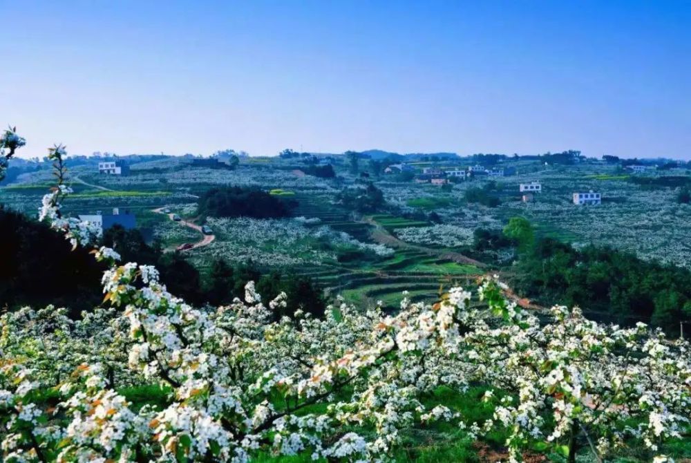 重庆乡村旅游学习体验线路地图出炉