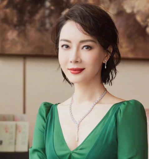 陈数低胸礼服大秀事业线,帝王绿翡翠更显贵气,这才是有效穿搭!