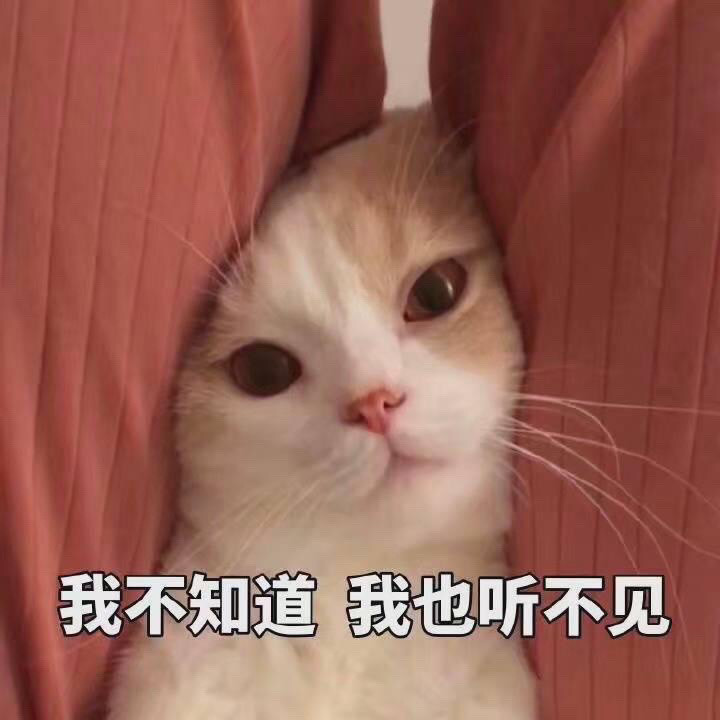 【猫咪表情包】我不是你的小宝贝了吗?