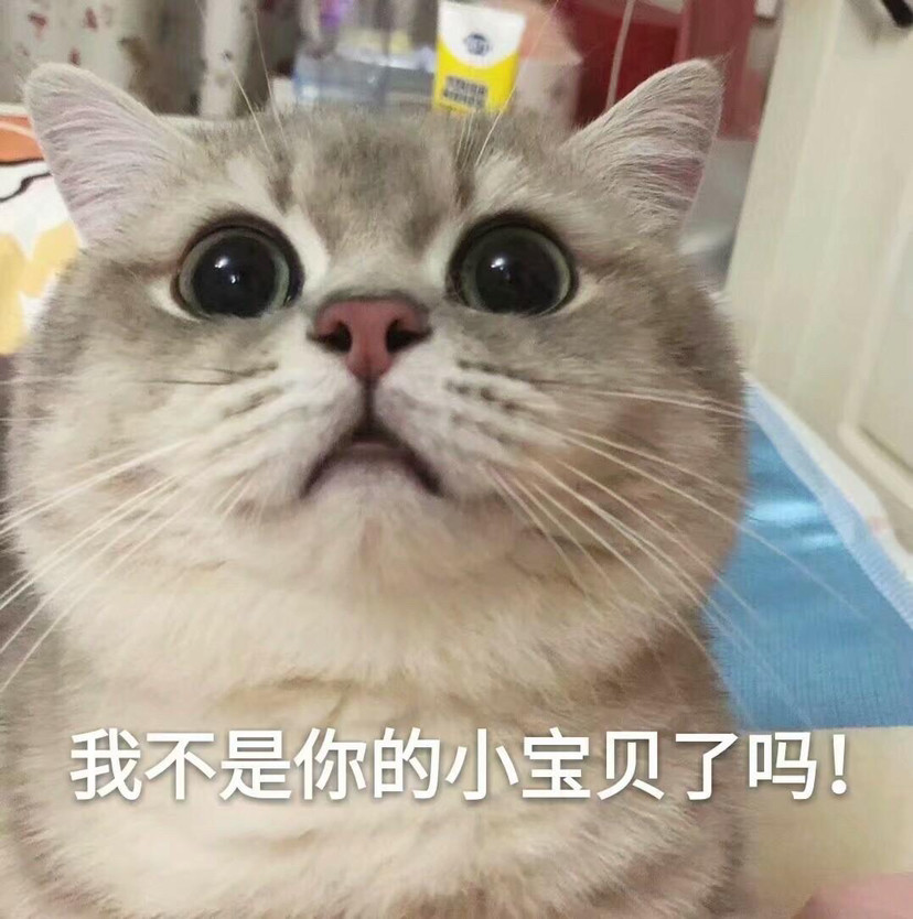 猫咪表情包我不是你的小宝贝了吗