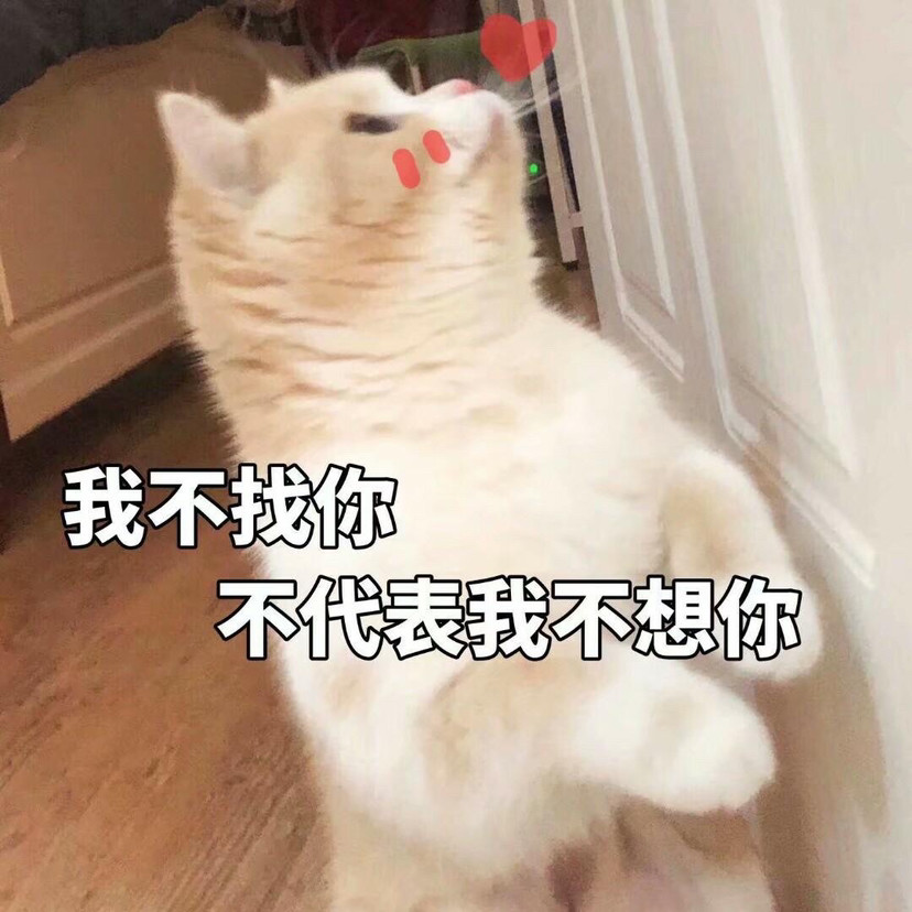【猫咪表情包】我不是你的小宝贝了吗?
