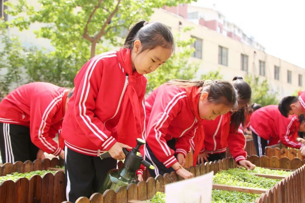 劳动教育怎么做章丘这所学校有妙招