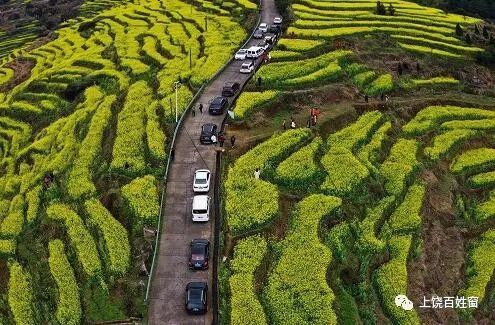 苏典乡人口_云南盈江 昔日贫穷落后村 今朝团结幸福园(3)