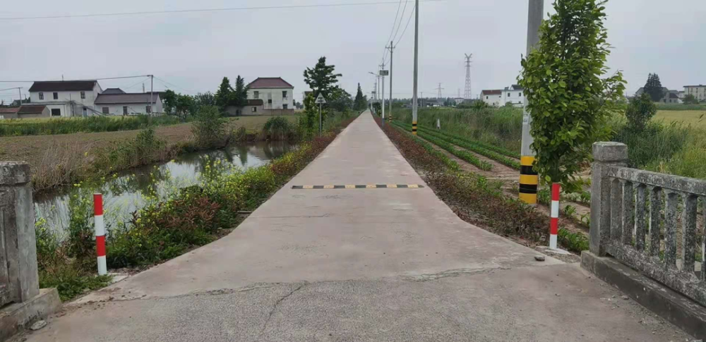 路灯建设工程;南星桥村已完成:全村道路两侧枯木清理.