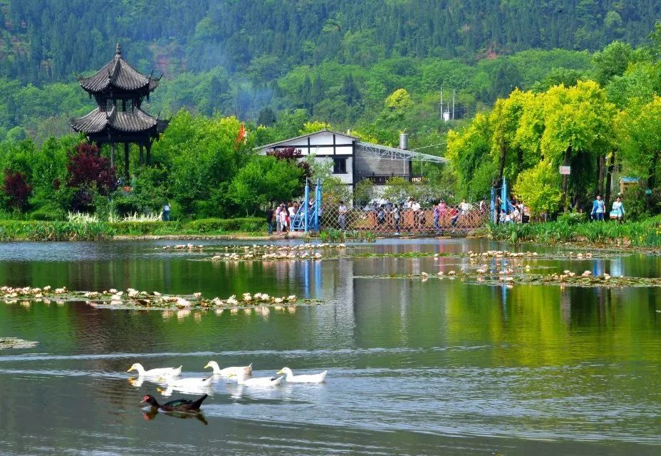 又被国家"点名"!大英这条乡村旅游路线值得一游