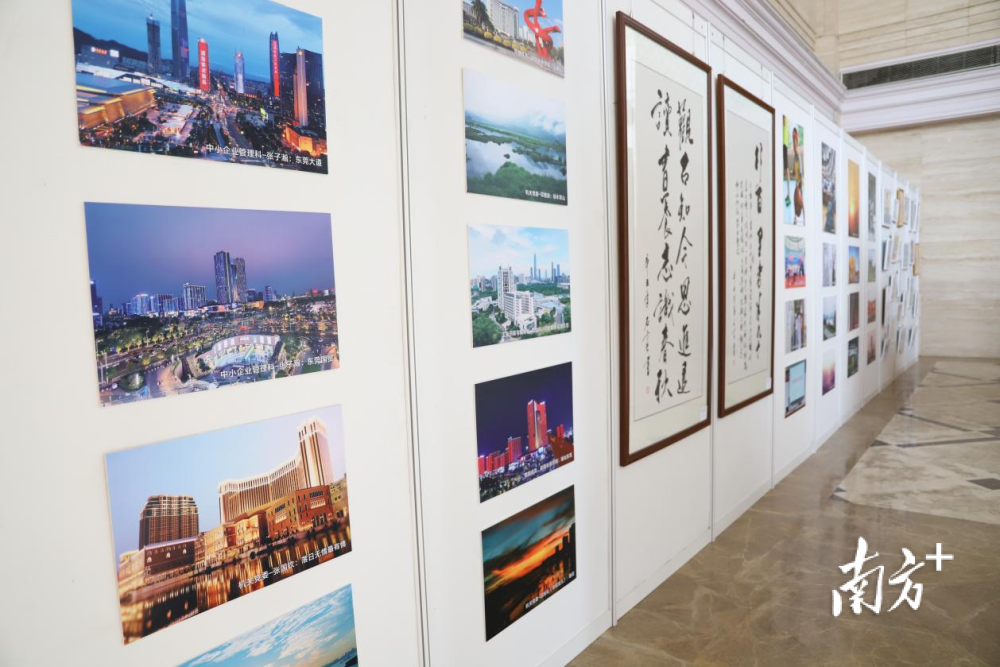 东莞工信党建风采东莞工信局开展书画摄影展
