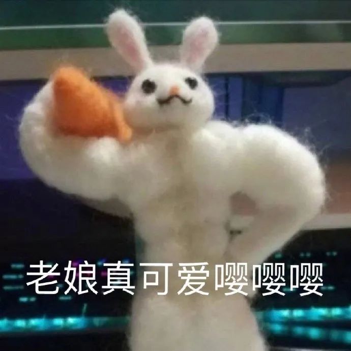 表情包我跟你讲我喜欢你