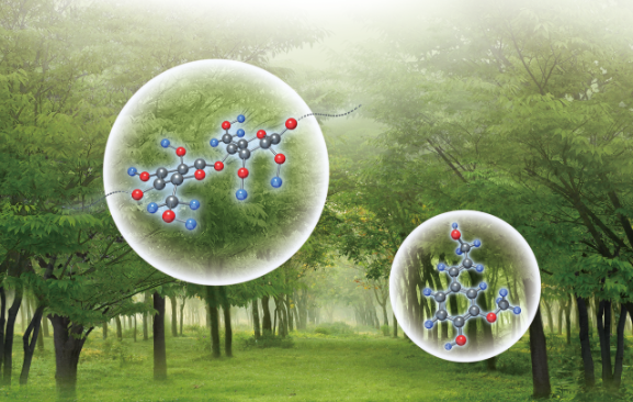 储富祥:生物基高分子新材料