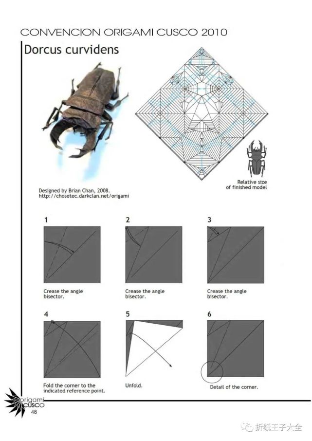 折纸图解弯角大锹形虫