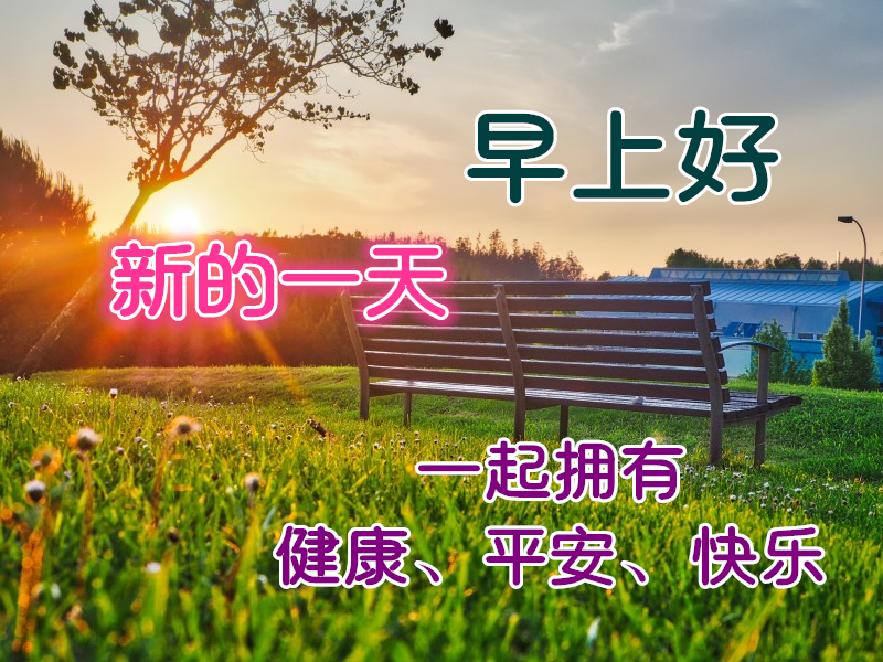 大家早上好 色彩鲜艳有创意的早安图片 清晨好的问候图片
