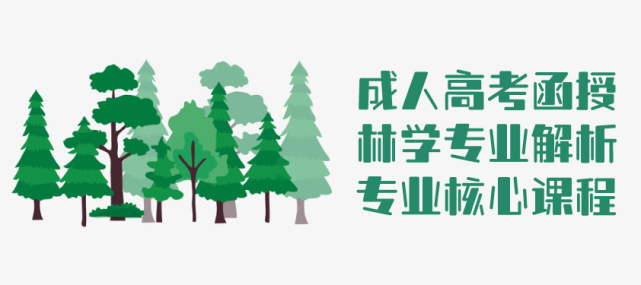 2021年成人高考函授林学专业解析云南省成人高考招生成人教育