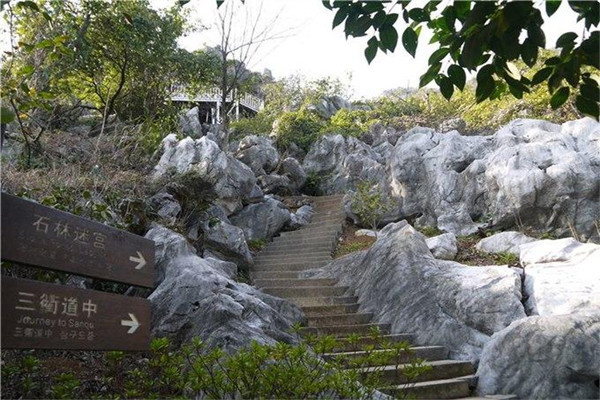 景区说之三衢石林|石芽|三衢石林|喀斯特|三衢山