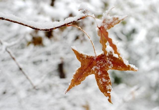 外面下雪了心情说说,漂亮的让人落泪!