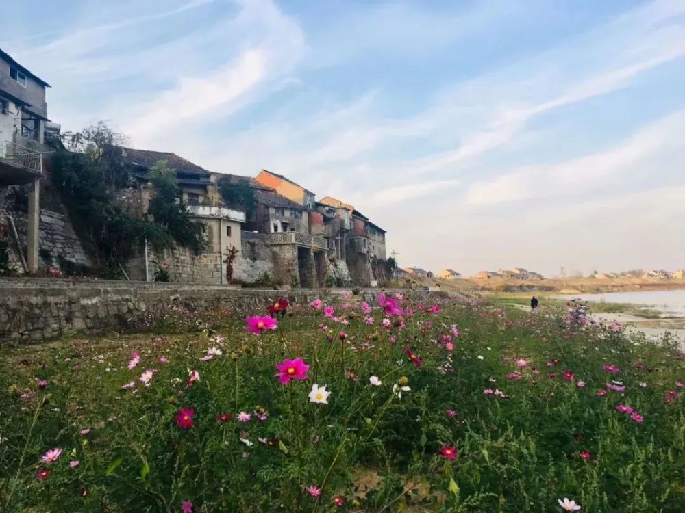 春游江淮请您来丨全程6元～湾沚首条旅游公交班线最全