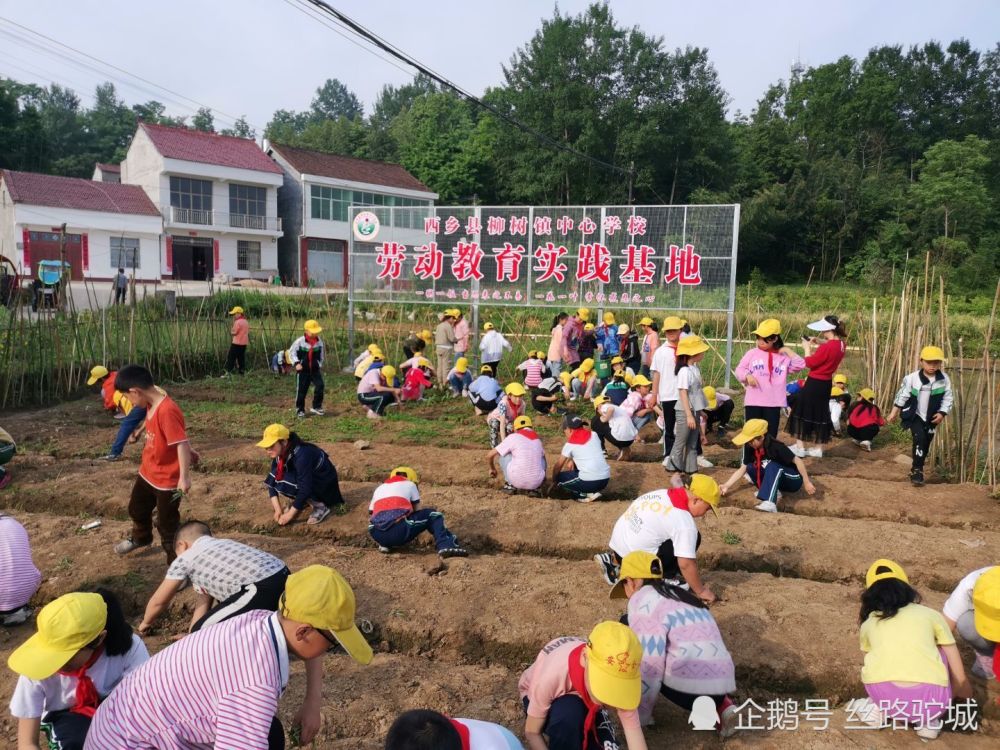 一是全体师生参与,共同筹建劳动教育实践基地.