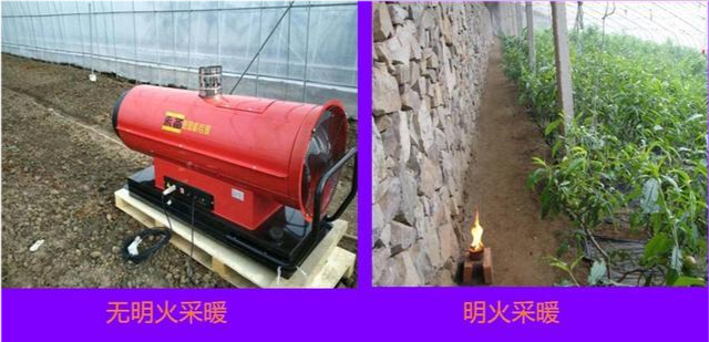 冬季大棚蔬菜,如何管理才能高产优收?尤其记住关键3点