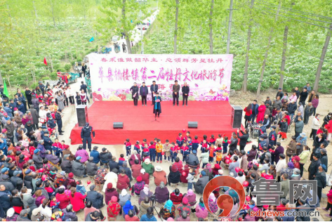 菏泽单县杨楼镇:群雁高飞头雁领 牡丹花丛嗅真金