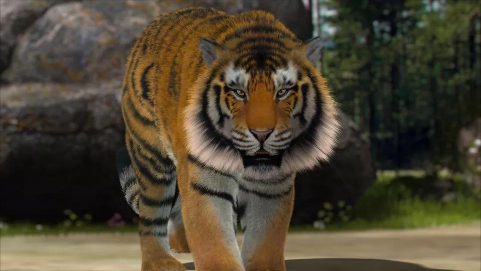 世界第三大老虎,新疆虎为何绝迹?人类因素外,蚂蚁也是